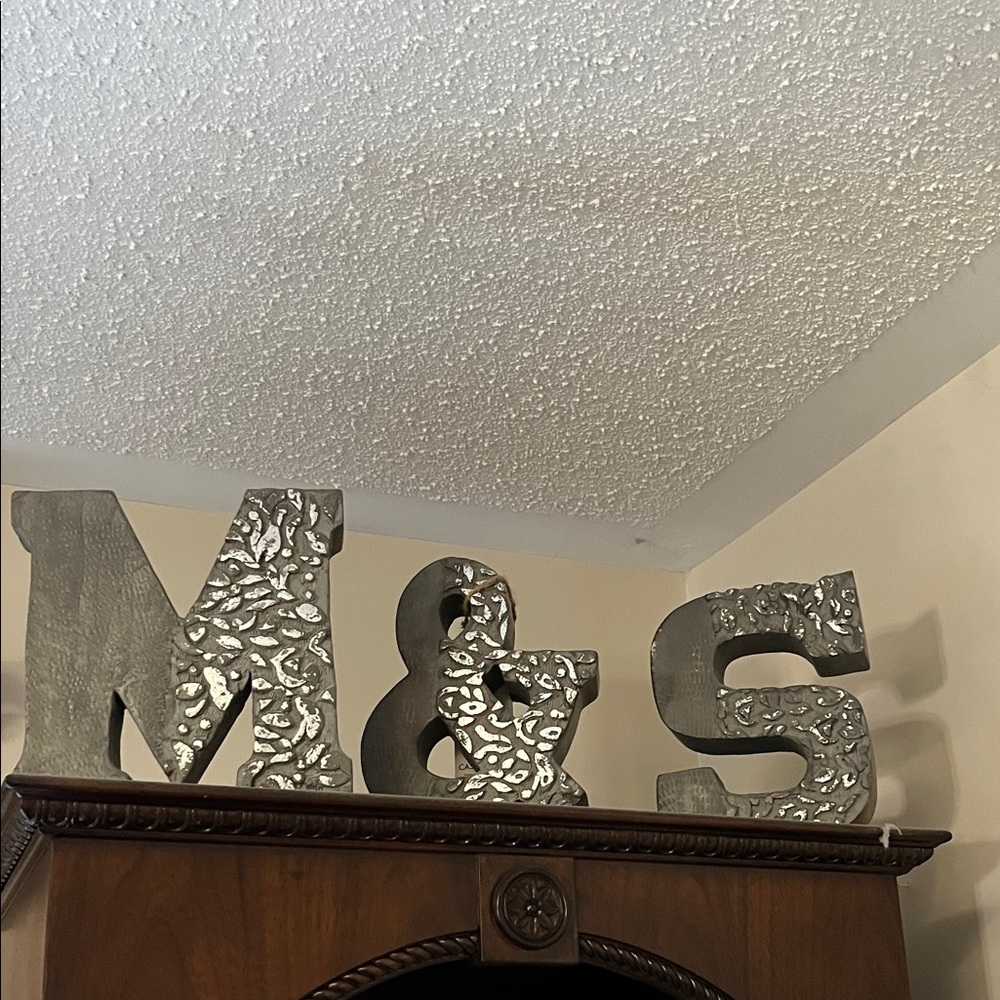 Silver Metal M, &, S Decorative Letters. $10 each. From HomeSense.